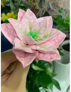 Forma Gwiazda Betlejemska 2