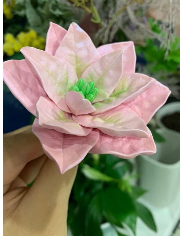 Silicone Mold Star of Bethlehem