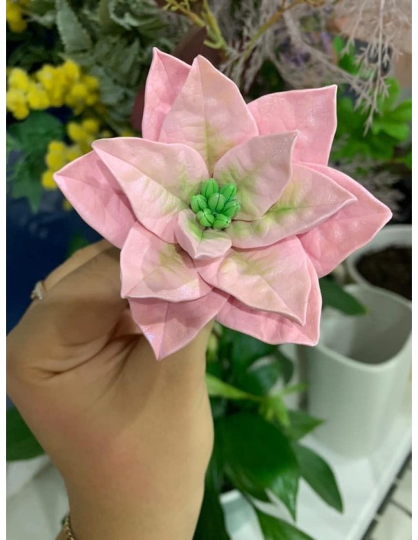 Silicone Mold Star of Bethlehem