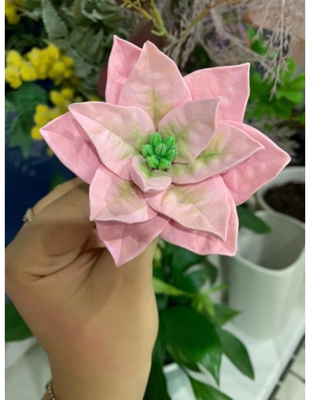 Silicone Mold Star of Bethlehem