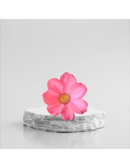 Silicone mold Onętek