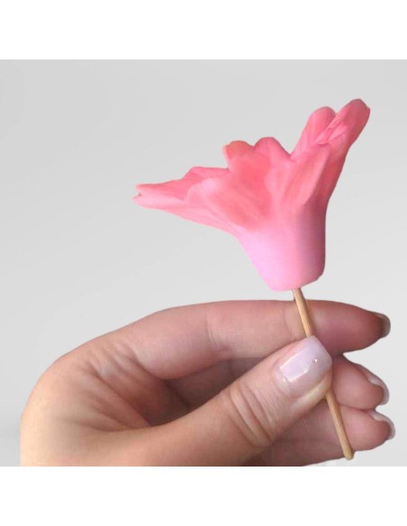 Silicone mold Onętek