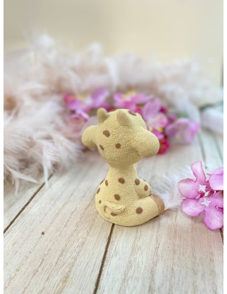 Giraffe Max Silicone Mold