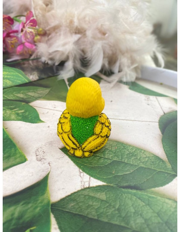 Silicone mold Parrot Frugo