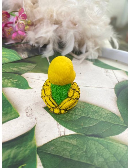 Frugo Parrot Silicone Mold