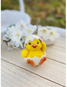 Silicone mold Chick in an egg