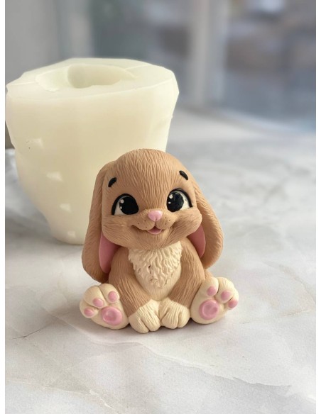 Silicone mold Bunny Smile