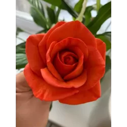 Silicone mold Rose Maria Large 2