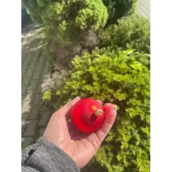 Foremka silikonowa Bombka 2