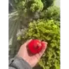 Foremka Bombka