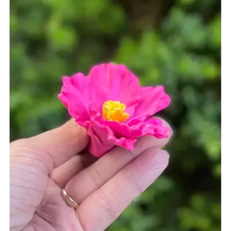 Foremka Cudny kwiatek