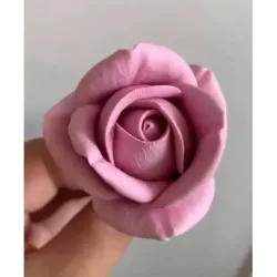 Forma Róży Maria Mała