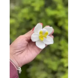 Silicone mold Orchid 2